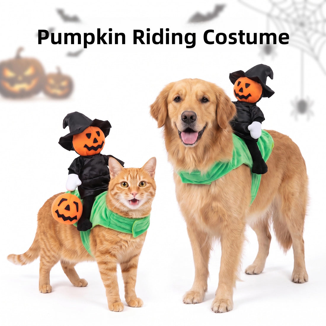 Halloween Pumpkin Knight Pet Costume