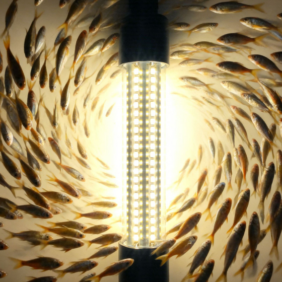 Waterproof LED Fish Attracting Light Camping & Hiking product image 3