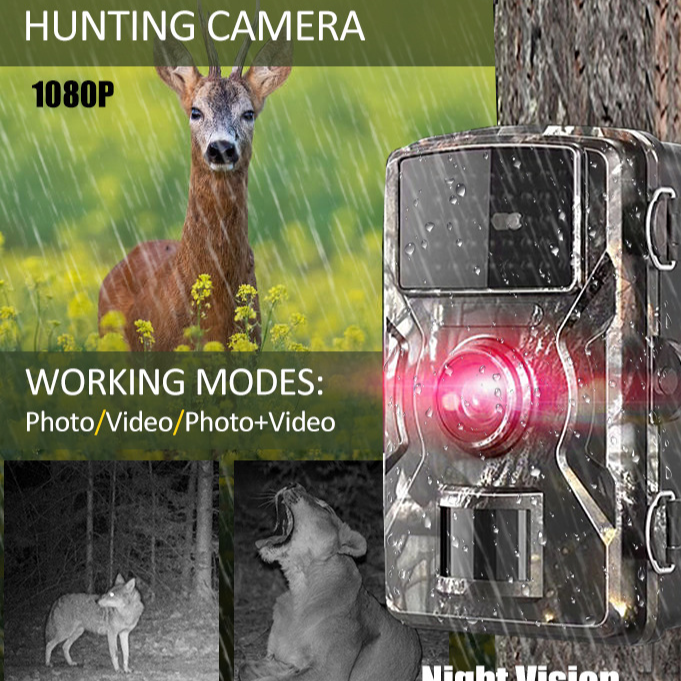 HD Wildlife Tracking Camera with Night Vision