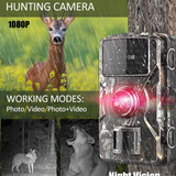 HD Wildlife Tracking Camera with Night Vision