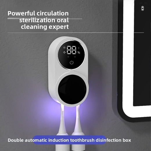Toothbrush sterilizer