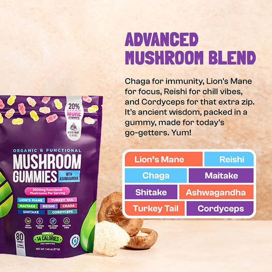 Mushroom Dietary Supplement product image 1