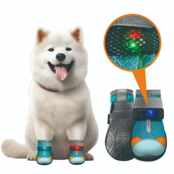 Fluffy white dog beside teal mesh shoes with a red LED strap light