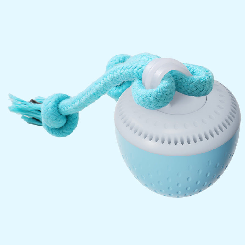 Interactive Rechargeable Dog Toy Ball