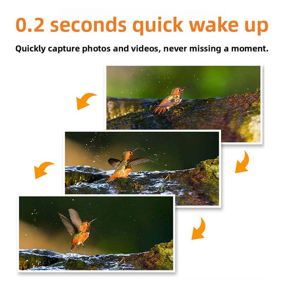 Waterproof infrared night vision detection camera Action Cameras product image 2