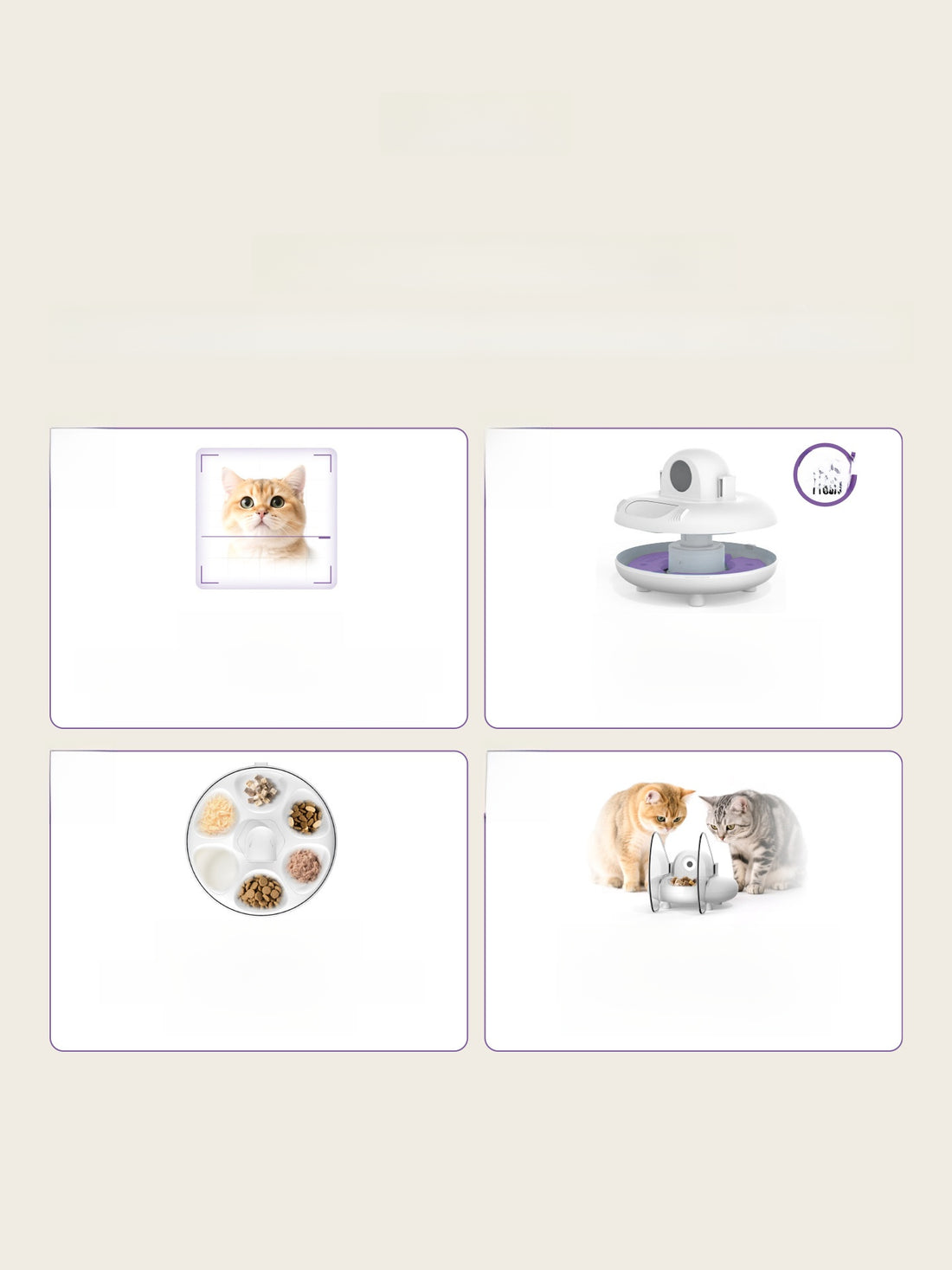 Automatic Pet Feeder
