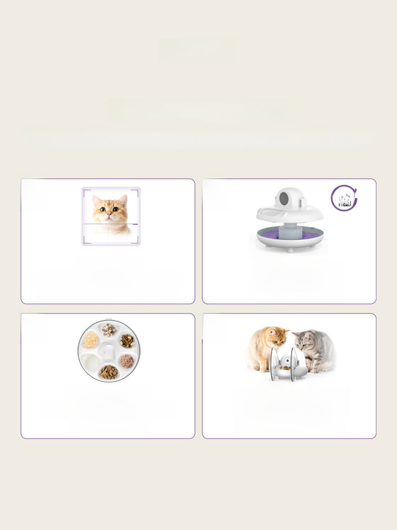 Automatic Pet Feeder