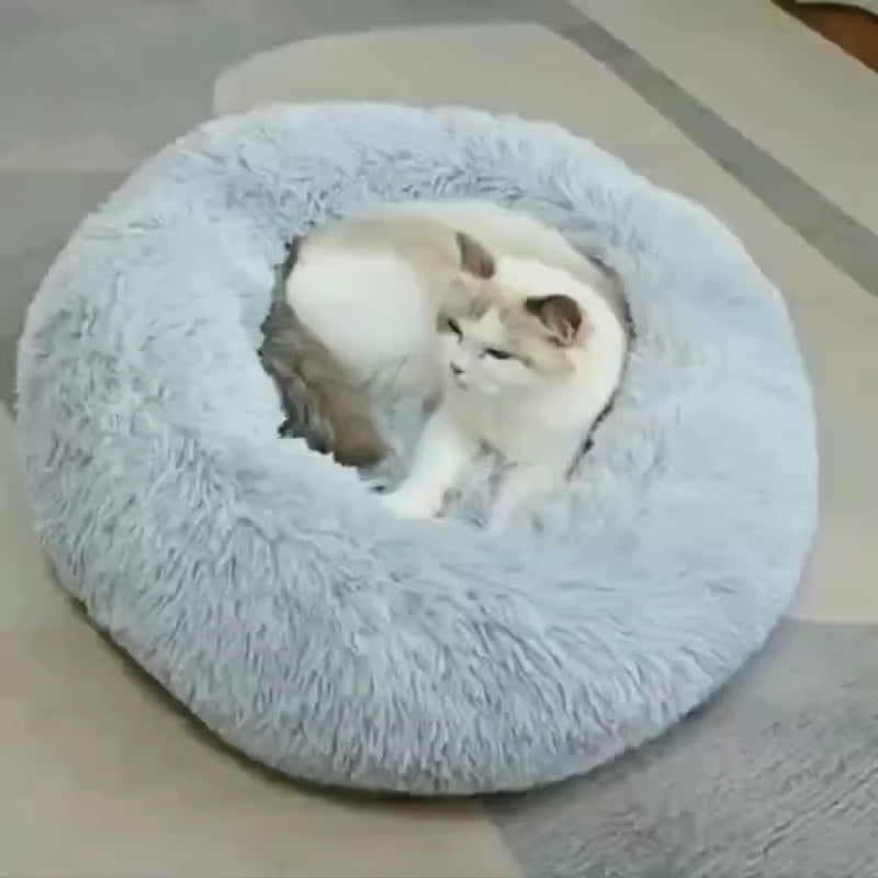 CloudNest pet bed size comparison M L XL