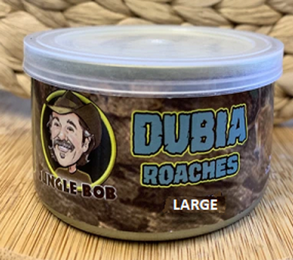 Jungle Bob Dubia Roaches In A Can - Large, Case of 24