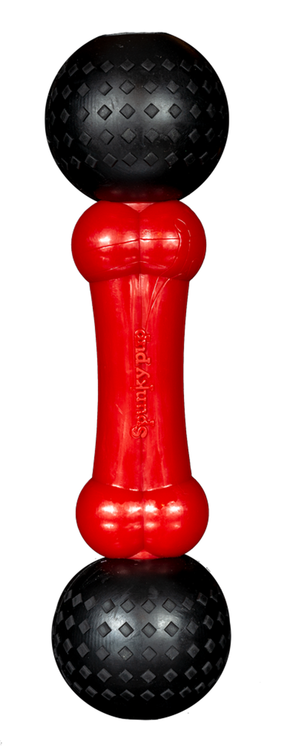 Spunky Pup Fetch & Chew Bone Dog Toy