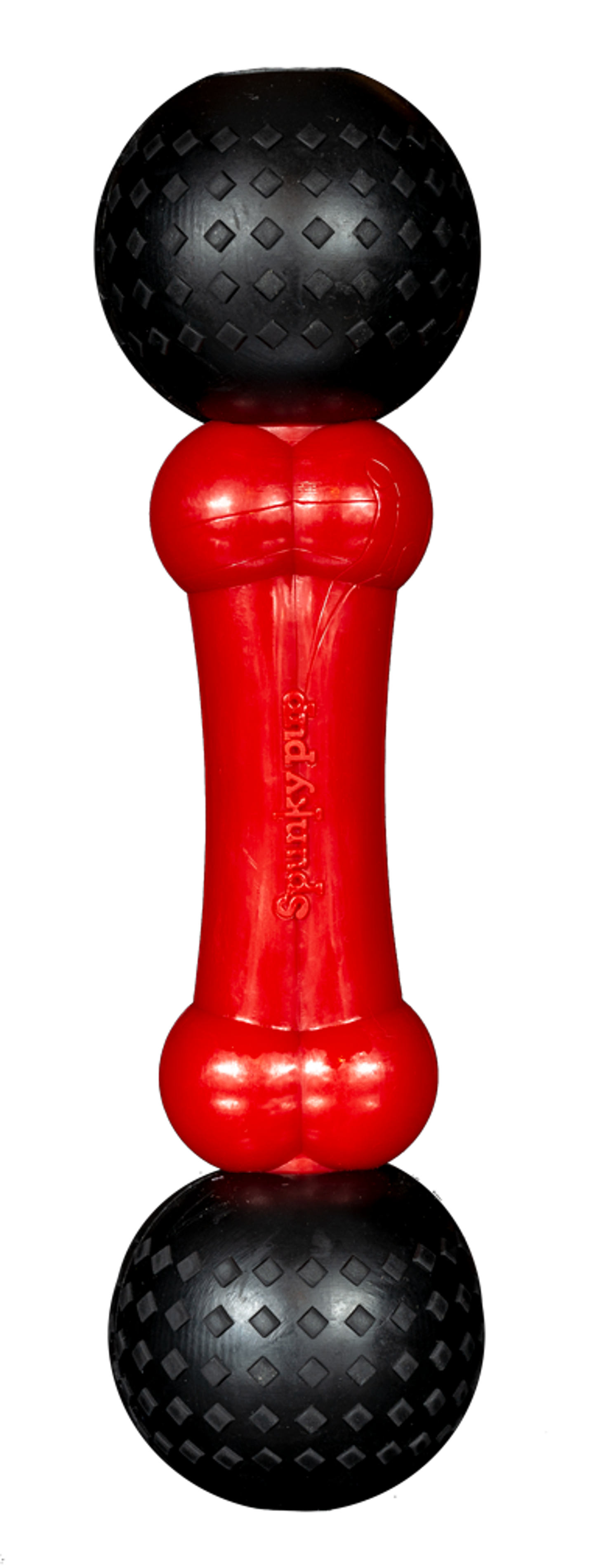 Spunky Pup Fetch & Chew Bone Dog Toy