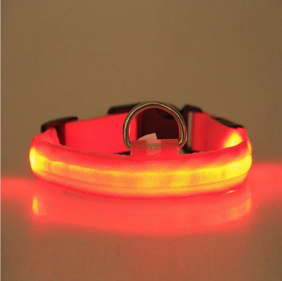 Red and orange LED dog collar glowing