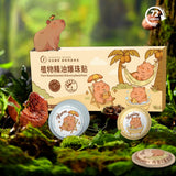 Childrens Plant Essential Oil Mosquito Repellent Patches