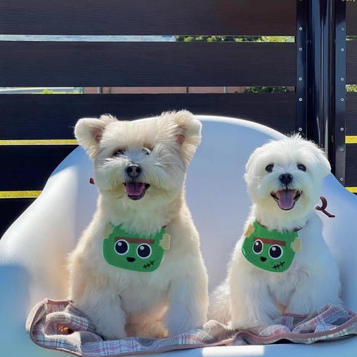 Cute Halloween Dog Apron