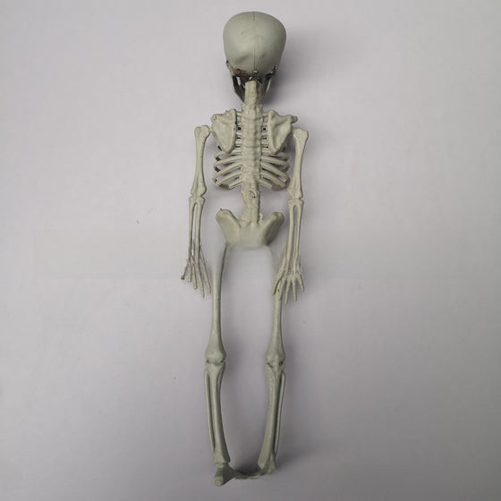 Scene decoration and setup props product image 2