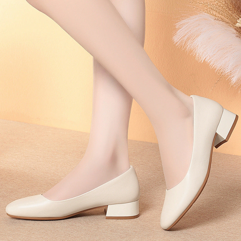 Womens Low Heel Professional Work Shoes