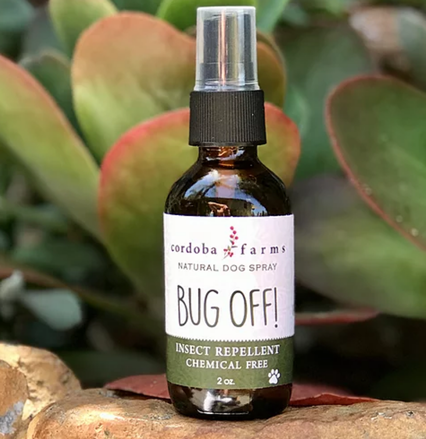 Bug Off! Natural Dog Spray, 2 oz