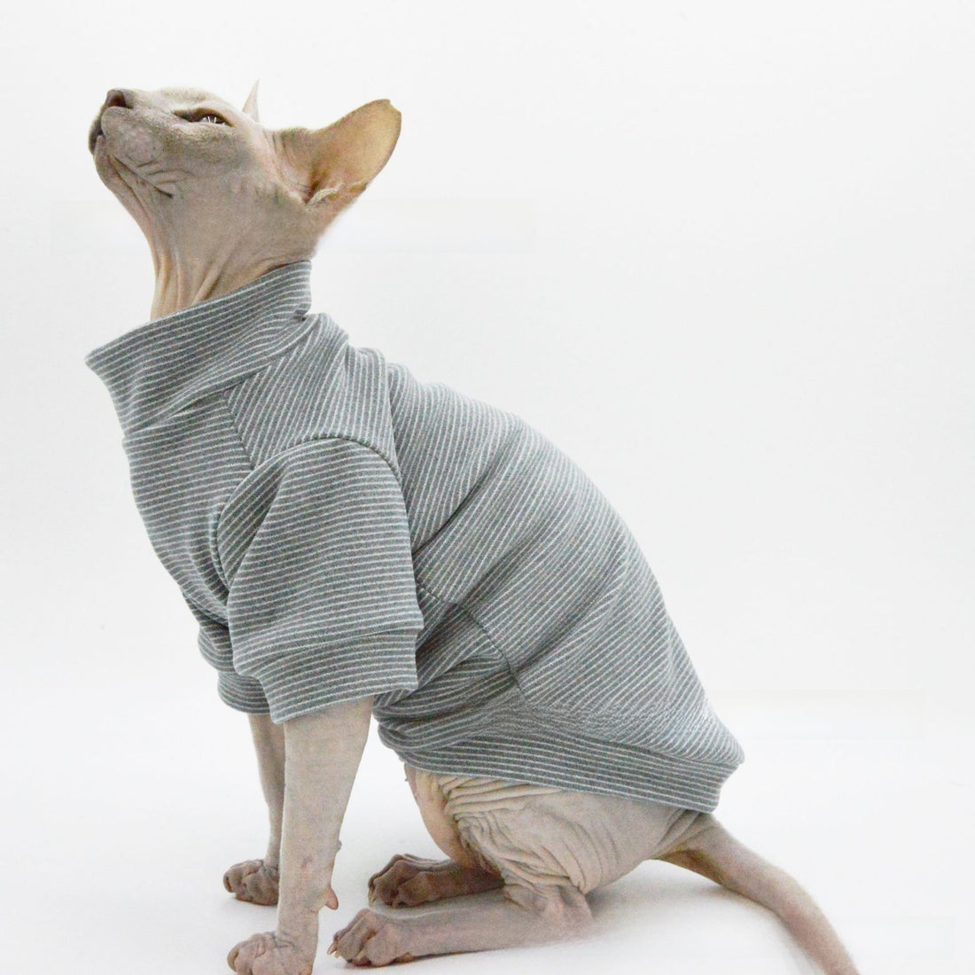 Pet Clothing