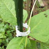 Vine Fixing Clip for Plant Support