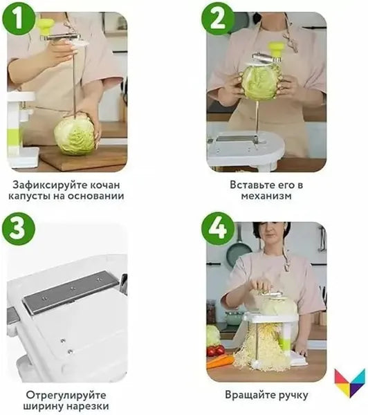 Cabbage shredder shredding a head of cabbage