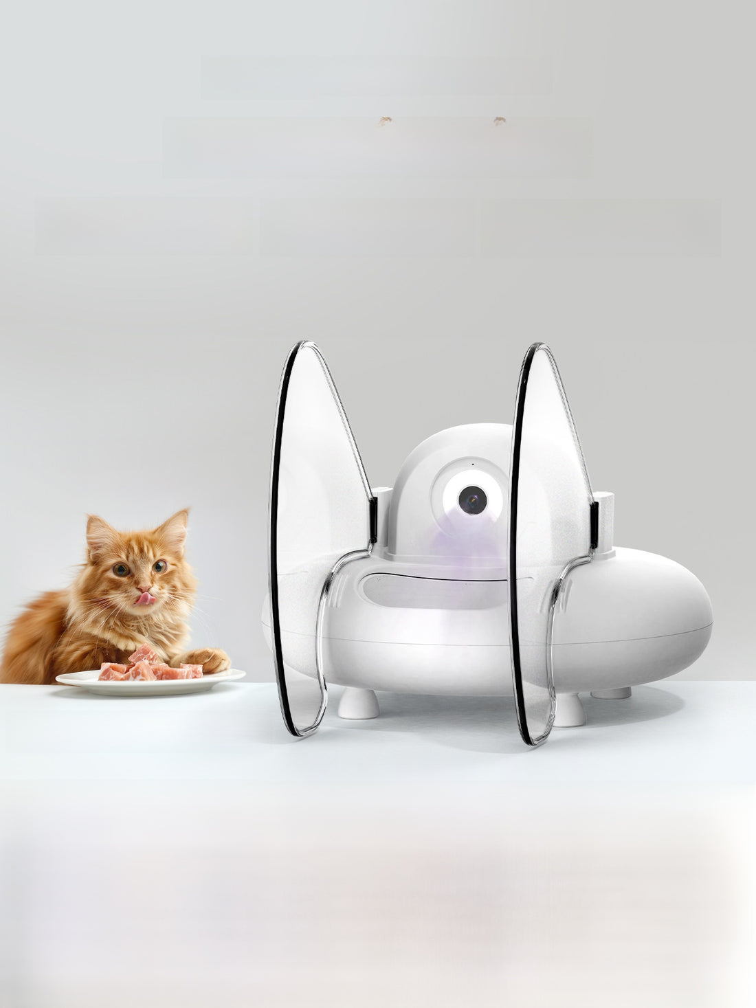 Automatic Pet Feeder