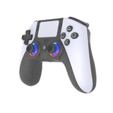 PS5 Bluetooth handle