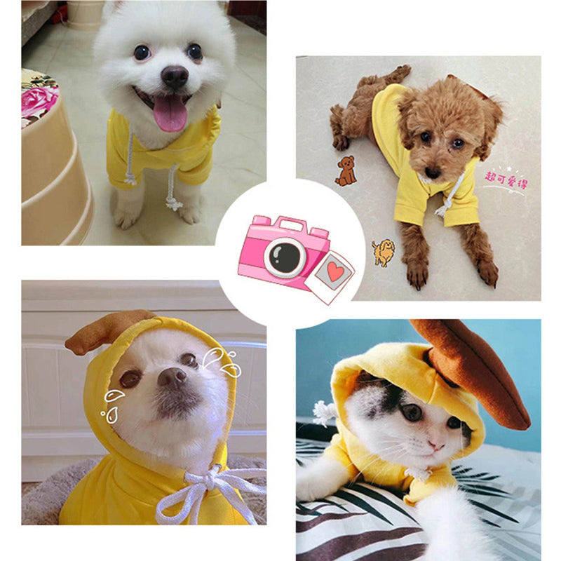 Collage of small dogs wearing yellow hoodies