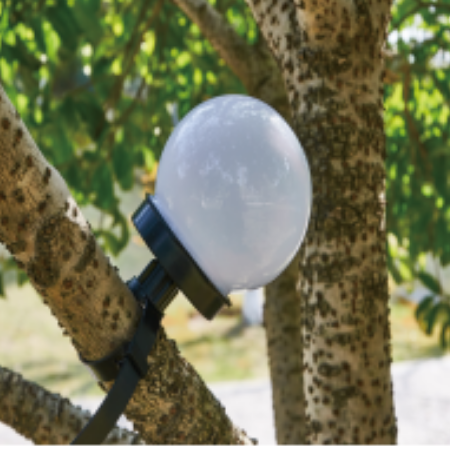 Solar Powered LED Garden Light with Motion Sensor Outdoor & Pond Lighting product image 6