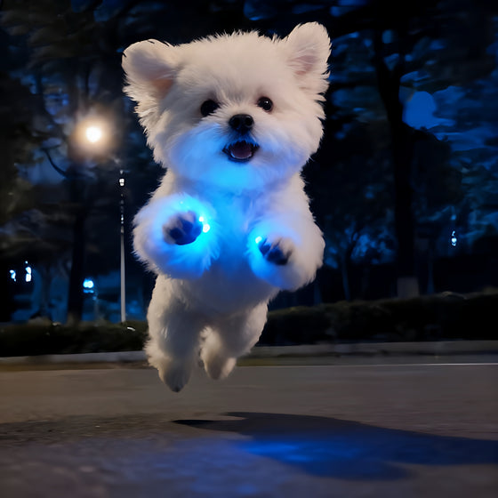 Small white dog jumping with glowing blue paws at night
