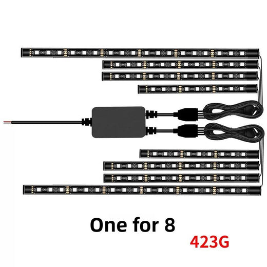 Decorative light strip vehicle for automobiles