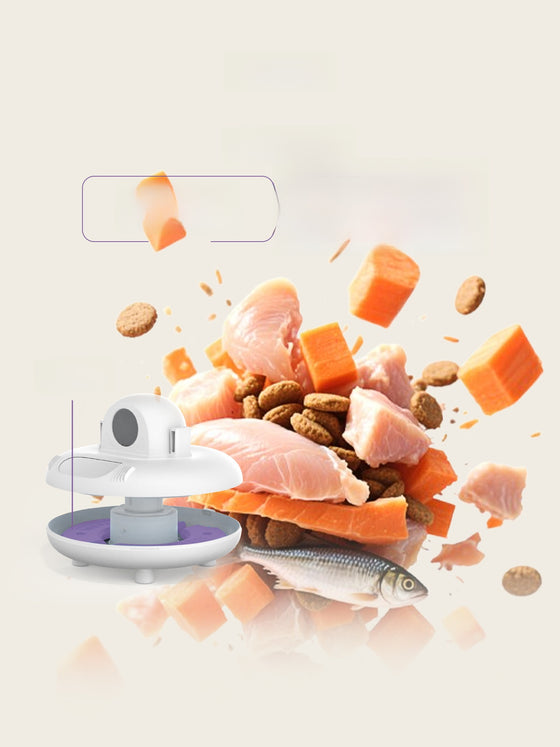 Automatic Pet Feeder