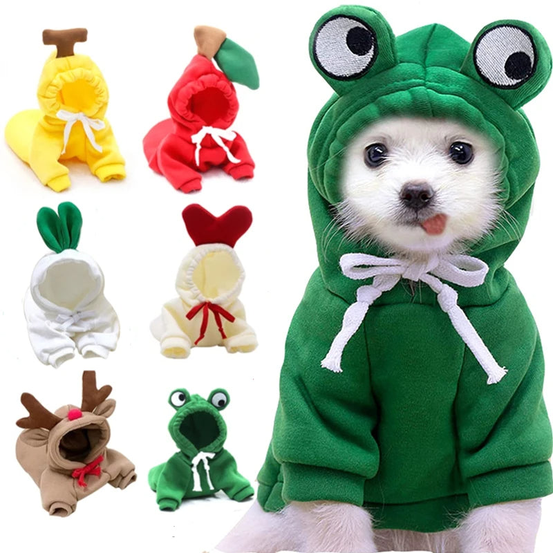 White dog in a green frog hoodie with googly eyes, with other styles beside it