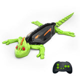Remote Control Toy