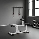 Calf raise lever and plate post detail