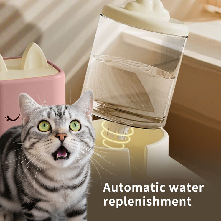 Automatic pet feeder lifestyle setup in kitchen