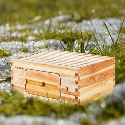 Bee hive starter kit Langstroth deep box main view