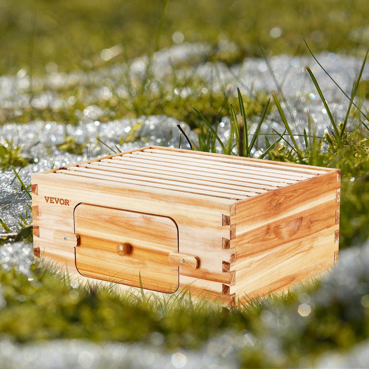 Bee hive starter kit Langstroth deep box main view