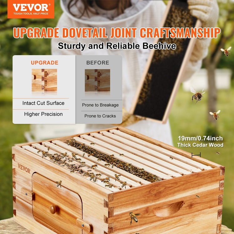 Bee hive starter kit acrylic observation window