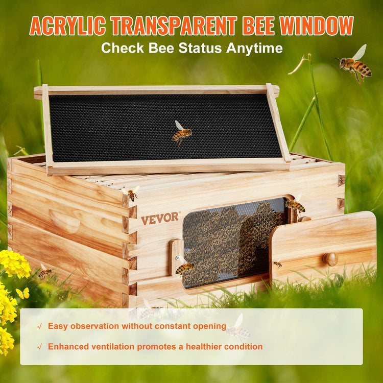 Bee hive starter kit frame detail
