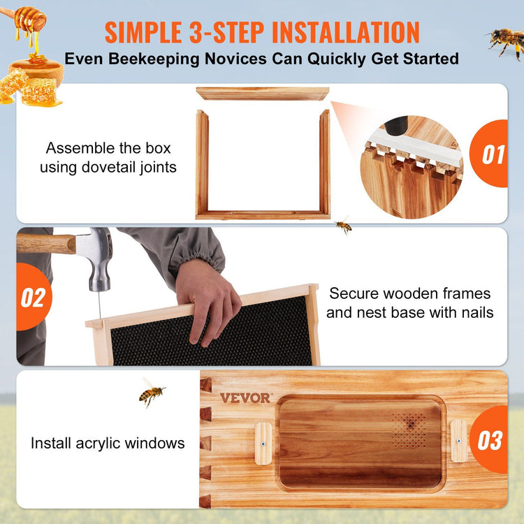 Bee hive starter kit interior layout