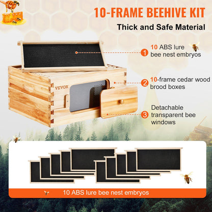 Bee hive starter kit components flat lay