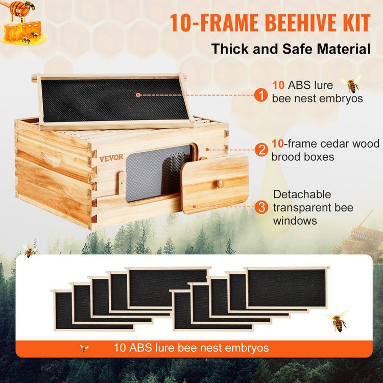 Bee hive starter kit components flat lay