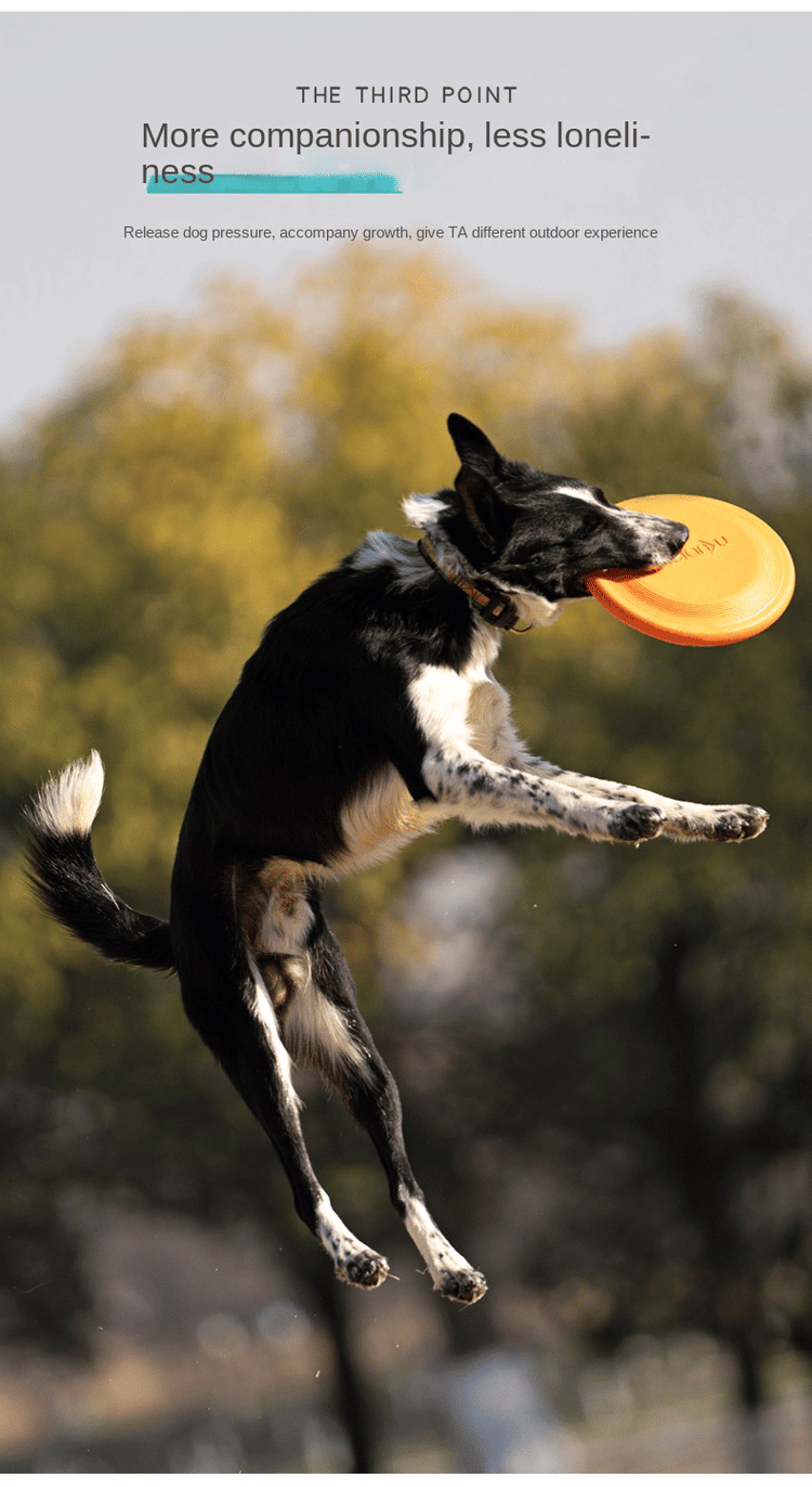 Bite resistant dog frisbee toy in Blue