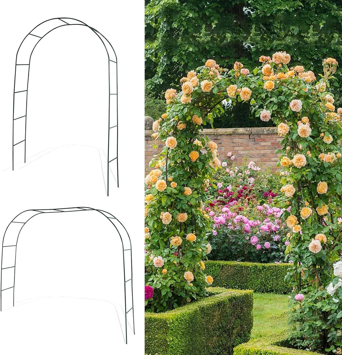 Black Metal Garden Arch Trellis scale and dimension reference