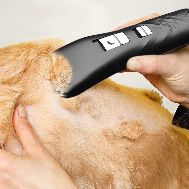 Black Pet Shaver for Dogs Cats
