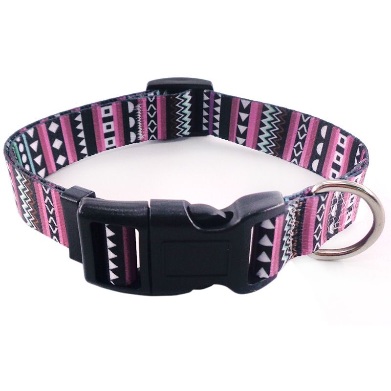 Bohemian dog collar worn on a small dog