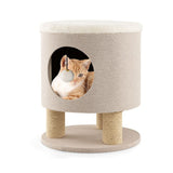 Cat sitting in the cat bed with scratch posts