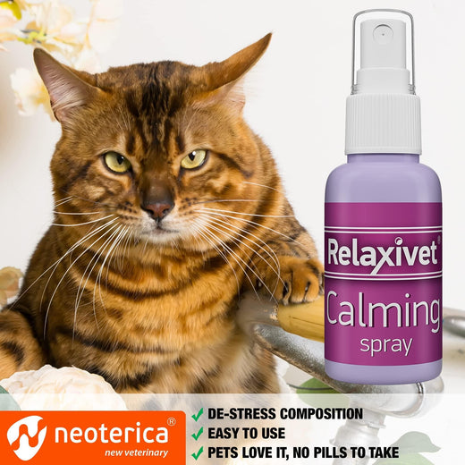 Cat calming pheromone spray alternate angle
