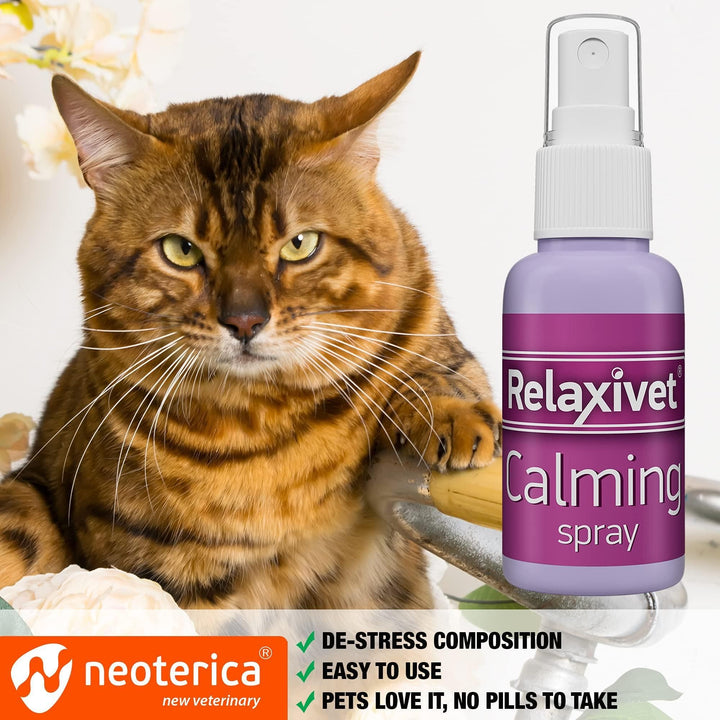 Cat calming pheromone spray alternate angle