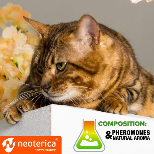 Cat calming pheromone spray in-use lifestyle